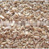 Sunflower Kernels Confectionary Grade /yellow Sunflower Kernels for Buyers thumbnail-1