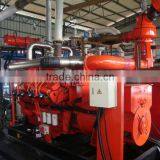 Natural Gas Generator / Biogas Genset /biogas Power Plant/biomass Power Plant thumbnail-2
