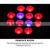Low Price Aaa Quality High Power 3 Years Warranty 12w Led Grow Light From Shenzhen Factory thumbnail-4