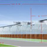 Low Price Tunnel Agriculture Greenhouse for Vegetable thumbnail-2