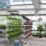 Multi Functional Glass Greenhouse For Hydroponic Greenhouse & Systems thumbnail-3