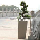 Square Plastic Flower Pot Hot Sale,flower Pot Tall