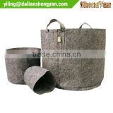 Polyester Felt Grow Pot, Grow Bag, Planter thumbnail-1