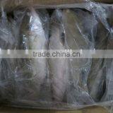 Seafood Price of Asian Sea Bass thumbnail-1