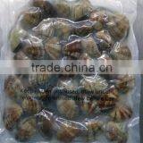11-20 WITH-SHELL CLAM BABY CLAM FROZEN AND VACCUM PACK thumbnail-1