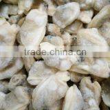 Short Necked Clam Meat For Frozen and Boiled IQF thumbnail-1