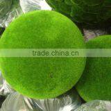 Artificial Moss Balls thumbnail-1