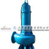 Submersible Sewage Pump thumbnail-1