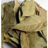 Dried China Bay Leaf Whole thumbnail-1