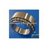 Double-row Cylindrical Roller Bearing thumbnail-1
