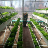 微信图片_20180104150353