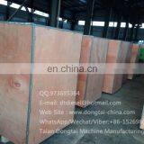 DTS619 Series Diesel Injection Pump Test Bench thumbnail-5