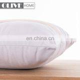 2018 Spring New Velvet Home Decorative Sofa Chair Cushions Pillow Cover for Sale thumbnail-4