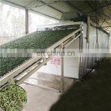 Green leaf flower dryer machine/ mesh belt dryer hemp drying machine /mesh belt dryer equipment