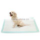 Puppy Pads Sale Mat for Dogs to Pee on Rottweiler Puppy Training