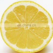 High Efficiency Avocado Peeling Machine Fruit Peeler Machine With Best Price thumbnail-3