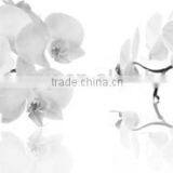 2016 Black & White Themed Flowe Canvas Painting Prints