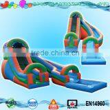 Giant Tropical Big Dipper Inflatable Water Slide With Pool for Sale Supplier's Choice