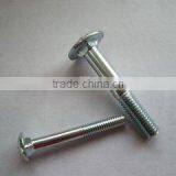China Supply High Quality Carbon Steel Carriage Bolt