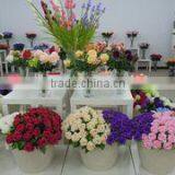 Tianjin Super Star Technology Development Co., Ltd. company overview - view 1 thumbnail