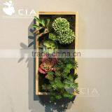 High quality solid wood framed succulents artificial plant wall art