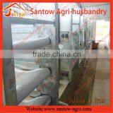China Manufactur Factory Supply Broiler Chicks Rate in Animal Cage thumbnail-1