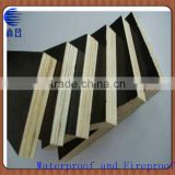 First grade 18mm finger Joint Laminated Board for Thailand market/factory supply finger joint board