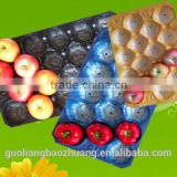 FDA/SGS Food Grade Custom Made Thermoformed Plastic PP Apple Tray