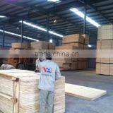 Viet A Trading Joint Stock Company company overview - view 2 thumbnail