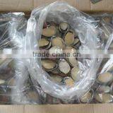 Frozen Fresh Abalone Meat for Sale