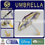 High Quality ODM Promotional EVA Umbrellas