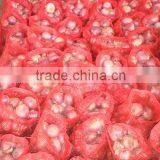 Best Prices - Top Quality Fresh Onions