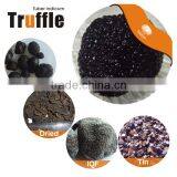 High Quality Wild Black Truffle 100% Wild Truffle for Sale thumbnail-1