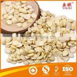 Blanched Apricot Kernels thumbnail-1