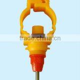 Animal Drinkers thumbnail-1