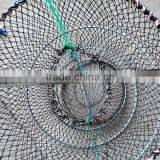 Fish Traps thumbnail-3