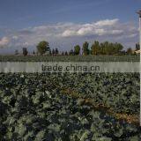 100mm Aluminium Irrigation Pipe thumbnail-2