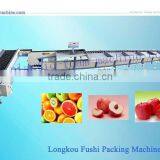 Apple Automatic Electronic Grading Machine