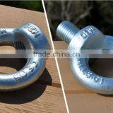 Wells Factory DIN580 M24 Forged Heavy Duty Galvanized Eye Bolt and Nut thumbnail-1