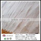 Polypropylene Spunbond Nonwoven Fabrics Used for Agricultural Mulch thumbnail-5
