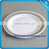 Plastic Dinner Plate thumbnail-1