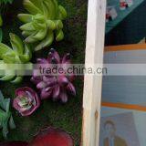 Indoor Decoration Artificial Mini Succulent Plants Wall thumbnail-5