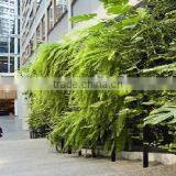 High Quanlity Large Fake Grass House Use Artificial Plant Wall thumbnail-5