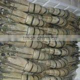 Black Tiger Shrimp thumbnail-1