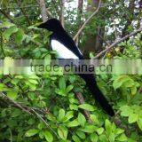 Full Body Flocked Magpie Decoy With Stake thumbnail-1