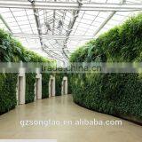 2017 New Product Vertical Artificial Green Wall for Decorative Indoor thumbnail-3