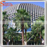 Latest Design All Kinds of Decorative Metal Palm Trees Canada Artificial Plastic Palm Tree thumbnail-4