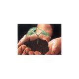 Malaysia Green Soil Conditioner thumbnail-1