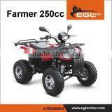 EEC ATV 250CC motorcyle