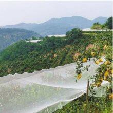 Anti Bird Net for Rice Field thumbnail-3